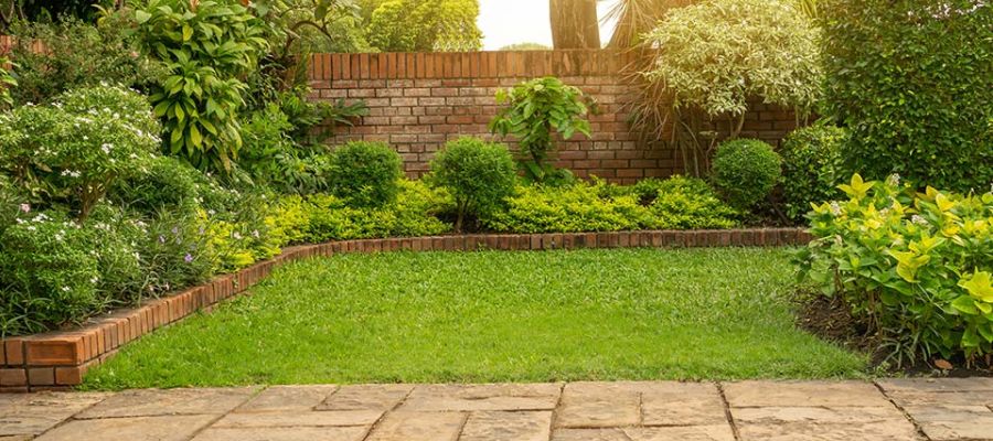Lush green garden with neatly trimmed hedges, shrubs, and a brick wall in the background under soft sunlight.