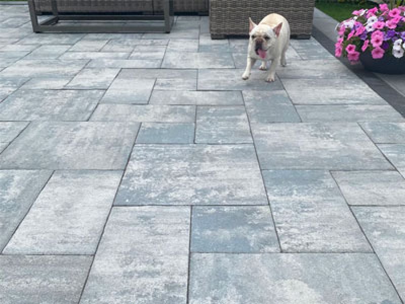 Batchelder and Collins Concrete Pavers for backyard