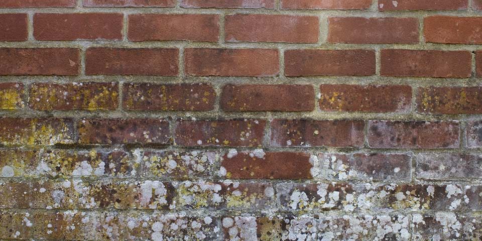 Old brick wall with weathered texture and moss, showing signs of aging and natural wear.