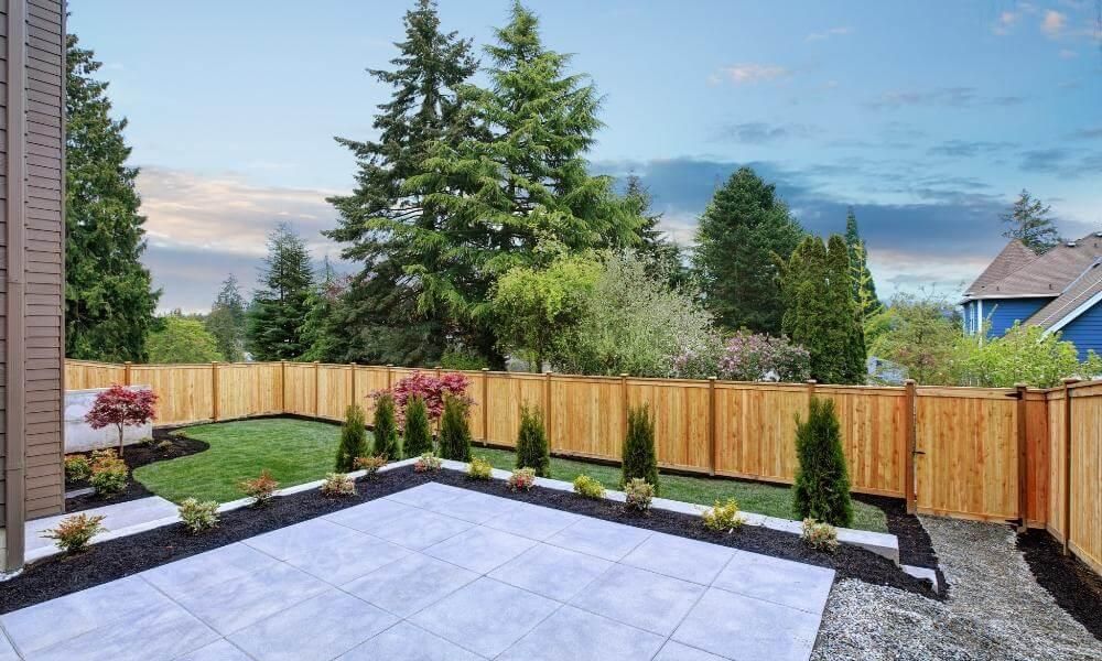 Small backyard landscaping with wooden fence and plants