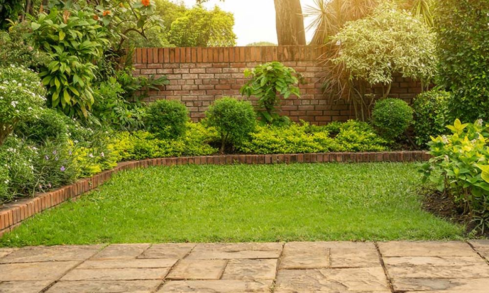 Lush green garden with neatly trimmed hedges, shrubs, and a brick wall in the background under soft sunlight.