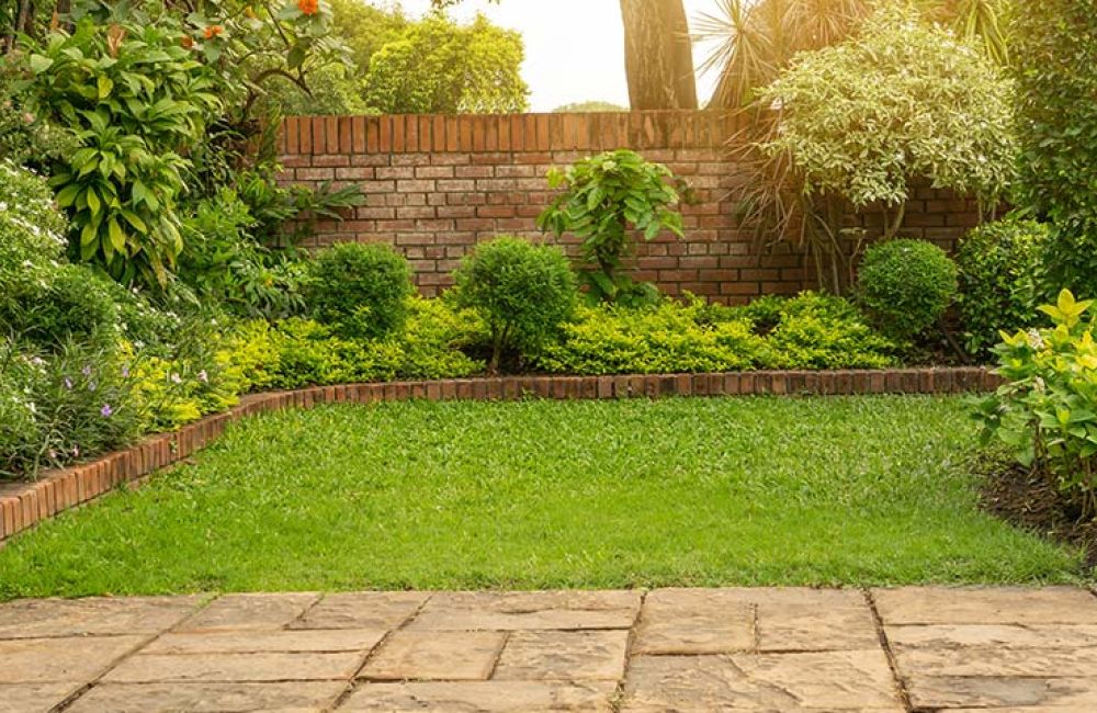Lush green garden with neatly trimmed hedges, shrubs, and a brick wall in the background under soft sunlight.