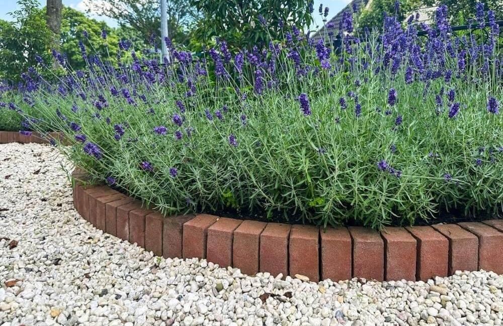 Brick planter filled with purple flowers, suitable