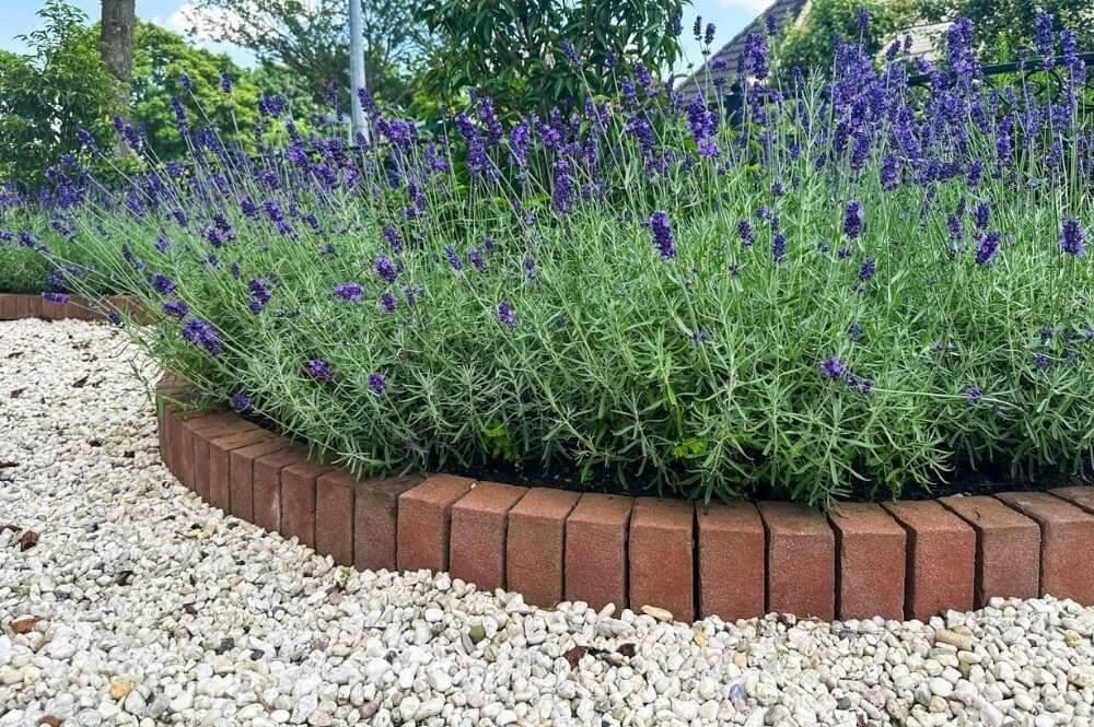 Brick planter filled with purple flowers, suitable