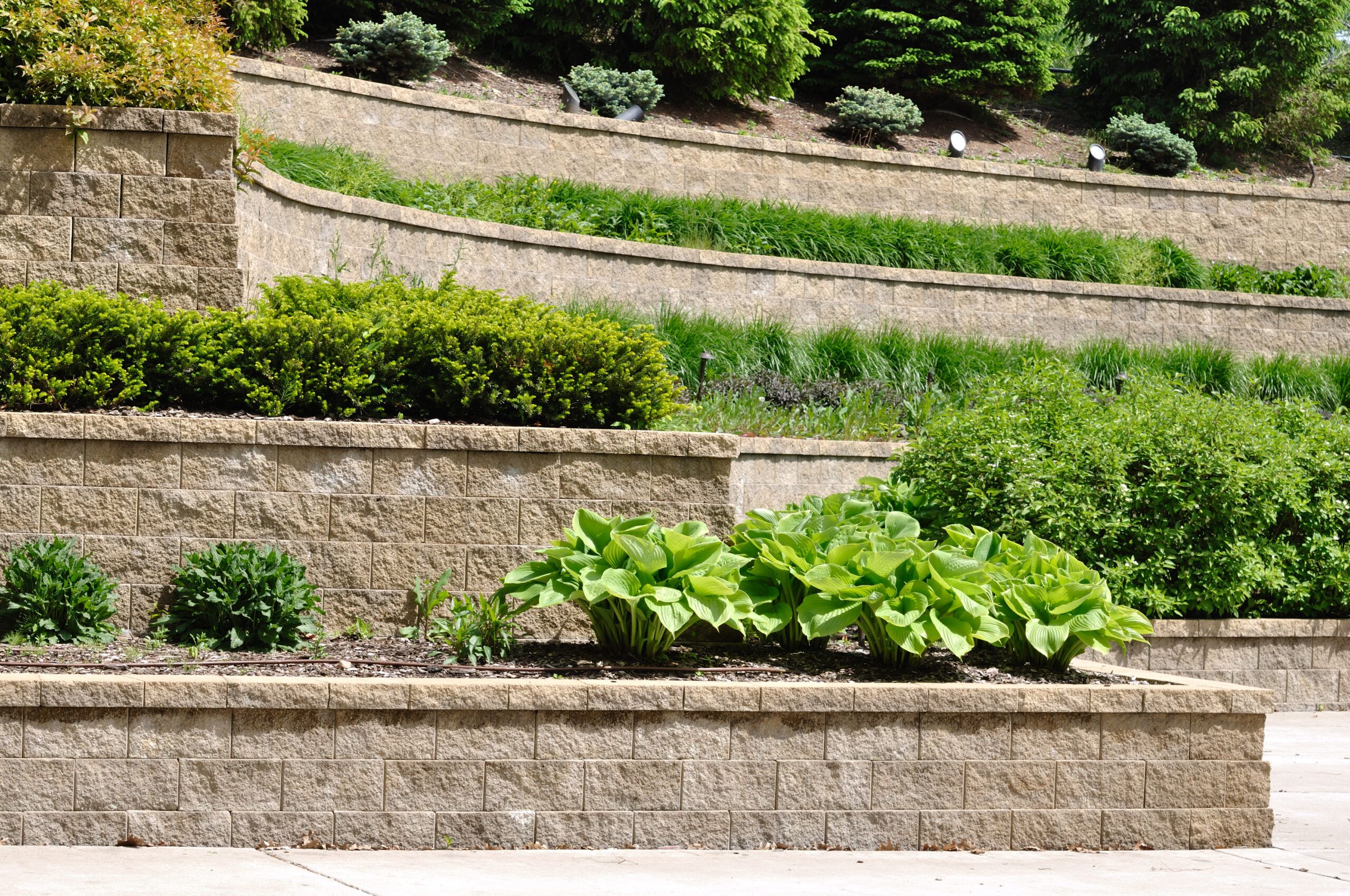 retaining wall with greenery planted on top