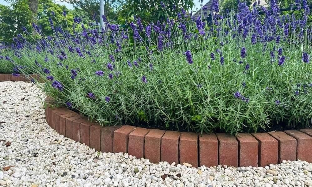 Brick planter filled with purple flowers, suitable