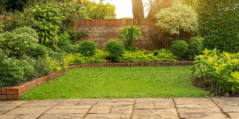 Lush green garden with neatly trimmed hedges, shrubs, and a brick wall in the background under soft sunlight.