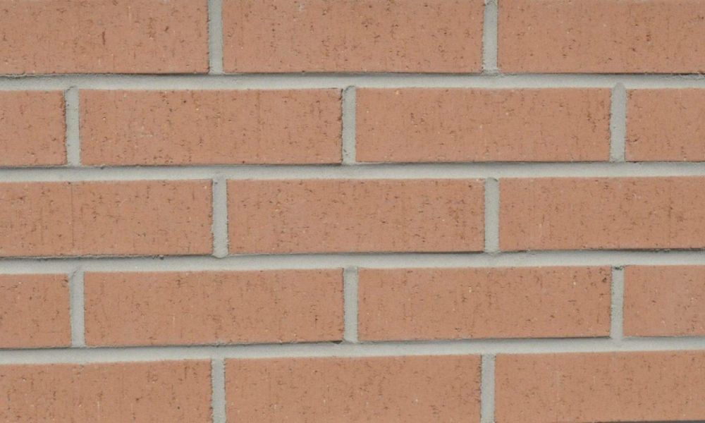 Taylor Pink Pink Wirecut Brick