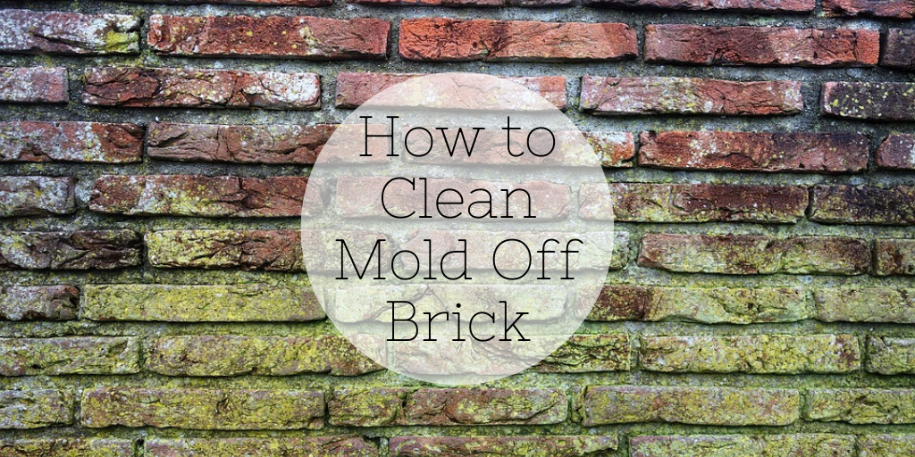 How to Clean Mold Off Brick