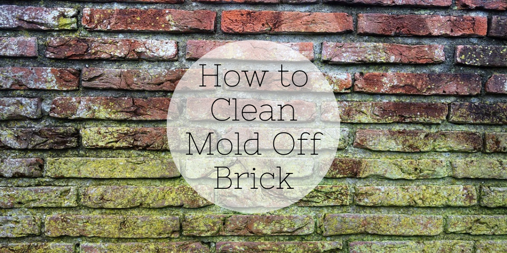 How To Clean Mold Off Brick Complete Guide - Cleaning Old Exterior Brick Walls