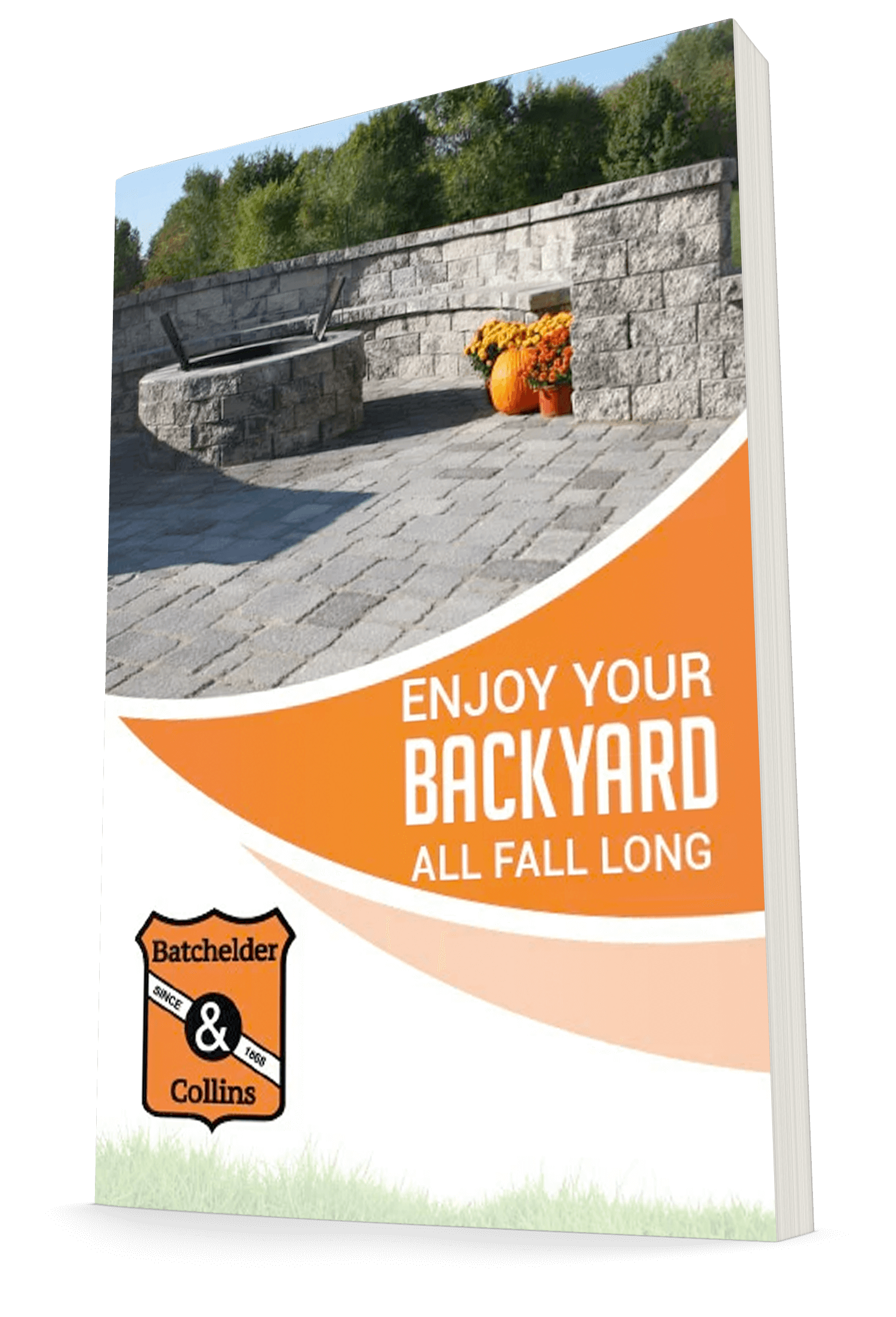 Fall Backyard Guide