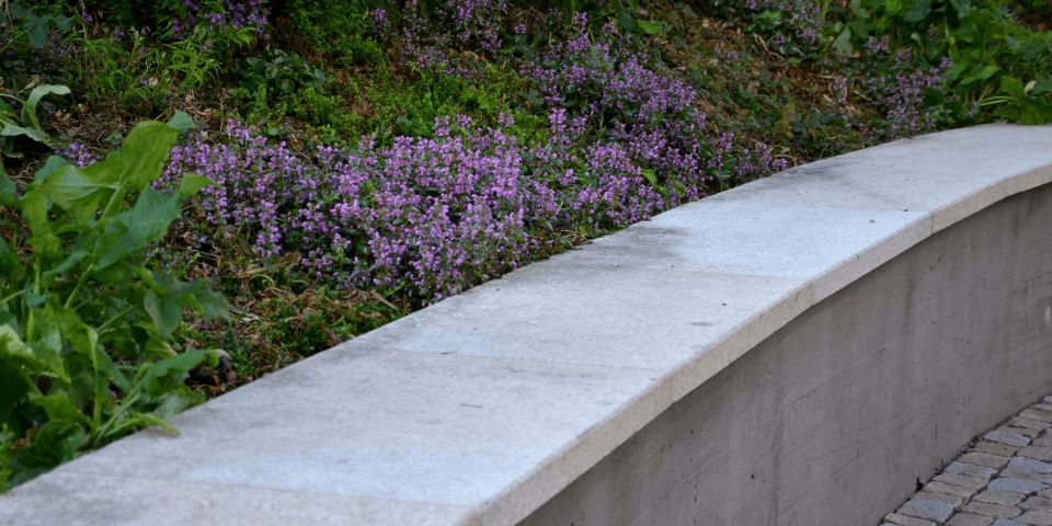 retaining wall with purple flowers and other greenery
