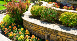 Vibrant garden with colorful flowers and stone retaining walls under the sun.